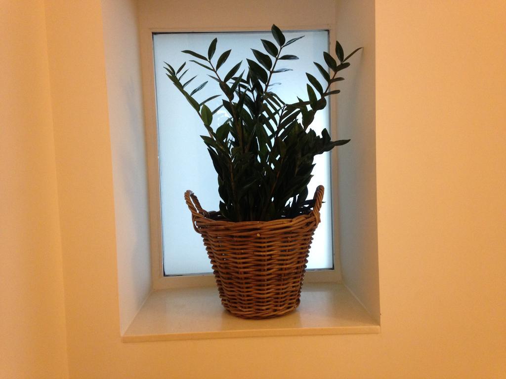 Belle Arti